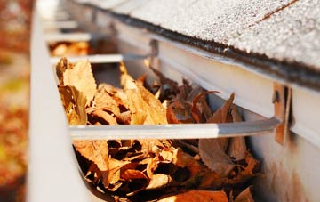 Totley Rise gutter cleaning companies