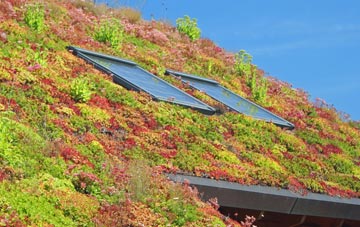 Totley Rise living roof systems