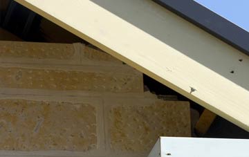 soffit repair Totley Rise